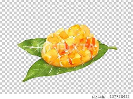 葉子上的切開的芒果 - 手繪水彩插圖 137728435