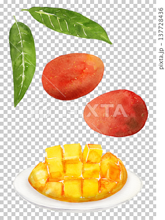 一組芒果果實和葉子，手繪水彩插圖。 137728436