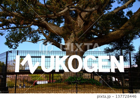 青空に映える伊豆高原のシンボルツリーとモダンなロゴサイン 137728446