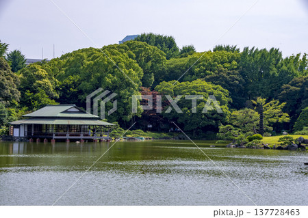 東京都清澄白河の庭園での風景 137728463