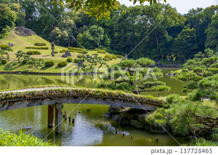 東京都清澄白河の庭園での風景 東京都清澄白河の庭園での風景 137728465