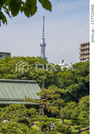 東京都清澄白河の庭園での風景 137728468