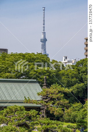東京都清澄白河の庭園での風景 137728470