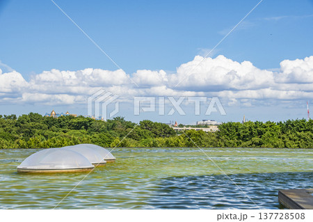 葛西臨海公園での散策 137728508