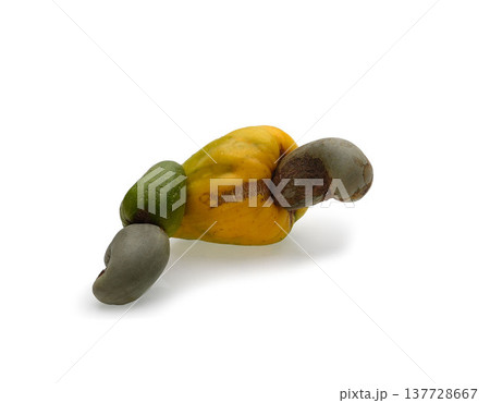 Cashew fruit Cashew fruit 137728667