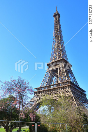 シャンドマルス側から見たエッフェル塔　パリの風景　2026年3月2日 137728722