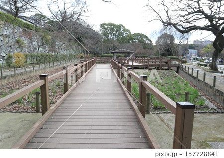 2024年・福岡・福岡市・風景・中央区城内・城・福岡城跡・其の百一 137728841