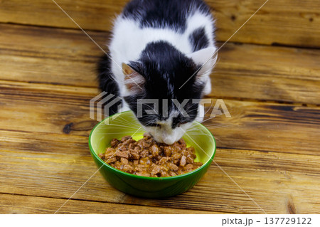 Kitten eating his food from ceramic bowl on wooden floor 137729122