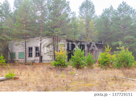 Old abandoned house in the ghost town Pripyat in Chernobyl Exclusion Zone, Ukraine 137729151