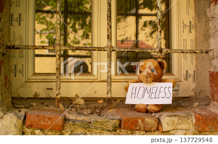 The teddy bear who lost his nose and his house The teddy bear who lost his nose and his house 137729548