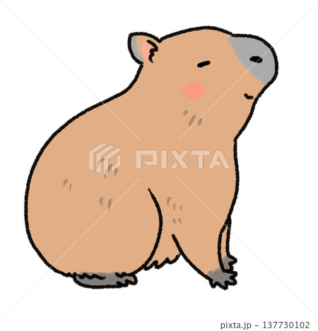 カピバラのかわいいイラスト カピバラのかわいいイラスト 137730102