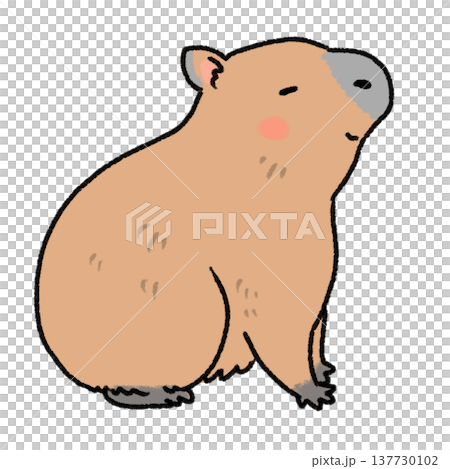 カピバラのかわいいイラスト カピバラのかわいいイラスト 137730102