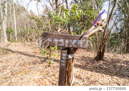仙洞寺山の山頂(神奈川県相模原市) 仙洞寺山の山頂(神奈川県相模原市) 137730888