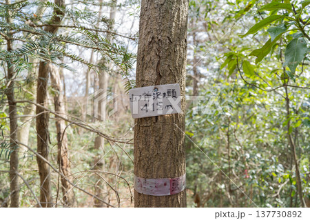 山ノ神沢ノ頭の山頂（神奈川県相模原市） 137730892