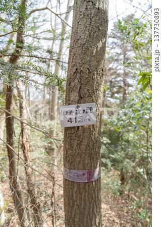 山ノ神沢ノ頭の山頂（神奈川県相模原市） 137730893