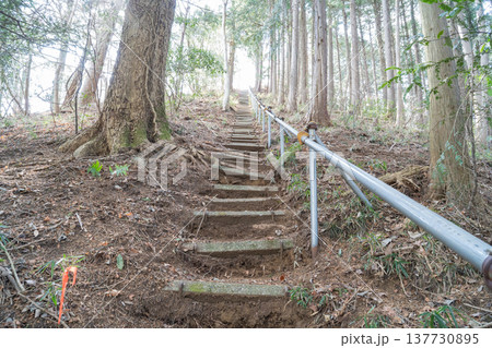 金太郎権現山の山頂直下の階段（神奈川県相模原市） 137730895