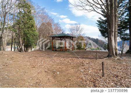 丸山（鳥居原ふれあいの館付近） 137730896