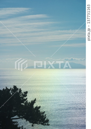 熱海のMOA美術館ロビーから窓外の光る海を望む 熱海のMOA美術館ロビーから窓外の光る海を望む 137731163