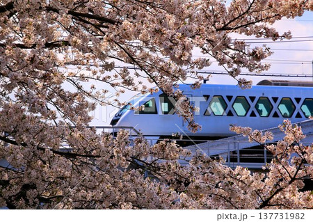 桜と共に輝く白磁の超豪華特急は日光・鬼怒川へ… 東武鉄道・特急『スペーシアX』とスカイツリー 137731982
