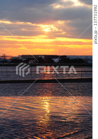 ふなばし三番瀬海浜公園の夕日 ふなばし三番瀬海浜公園の夕日 137731992