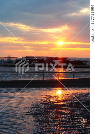 ふなばし三番瀬海浜公園の夕日 ふなばし三番瀬海浜公園の夕日 137731994