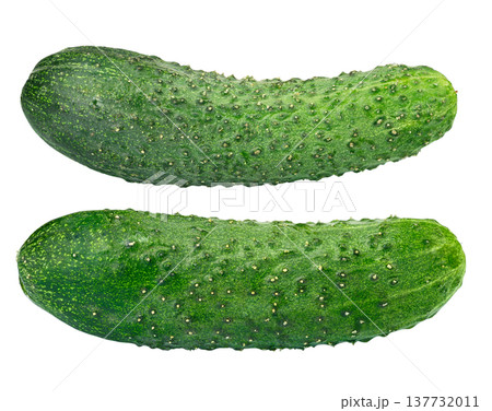 Two fresh green prickly cucumbers isolated on white background. 137732011