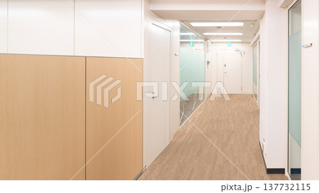 明るく清潔感のあるオフィスビルの廊下 明るく清潔感のあるオフィスビルの廊下 137732115
