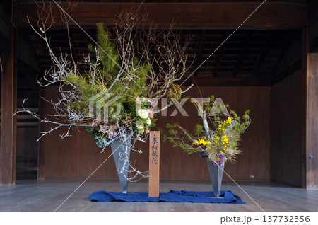 正月の生け花 正月の生け花 137732356