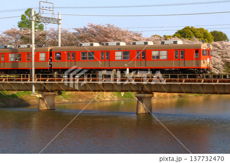 ［TD］春の東武野田線8000系電車（メモリアルトレイン） 137732470