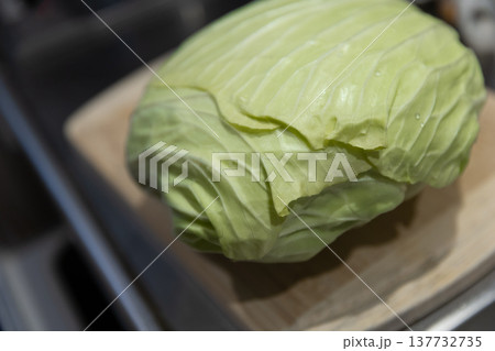 まな板の上のキャベツ 137732735