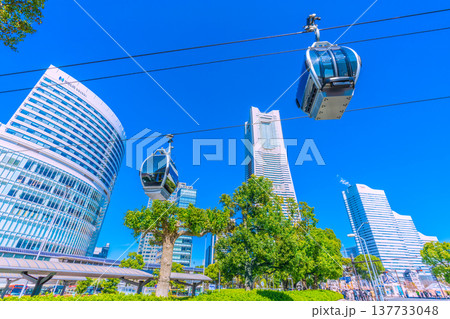 日本の横浜都市景観 伐採された街路樹…横浜ランドマークタワーや横浜エアキャビンなどを望む 137733048