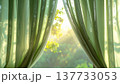 柔らかな自然光が透ける黄緑色のカーテン、ミニマルな背景素材、外には森の木々が見える 137733053
