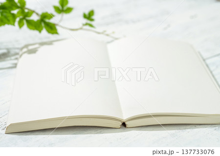 開いたノート 137733076