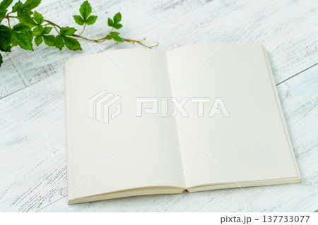 開いたノート 137733077