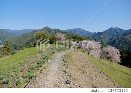 小辺路・果無集落の春の山里風景 137733136