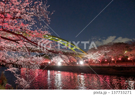 愛知県名古屋市_荒子川公園の夜桜36_2025年4月 137733271