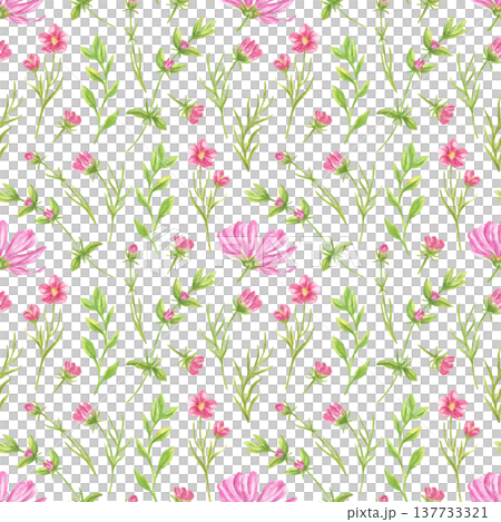 Seamless pattern with watercolor pink flowers and green leaves. Botanical illustration of blooming meadow plants. Decorative textile print design for greeting card or spring background. 137733321