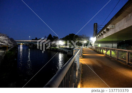 愛知県名古屋市_荒子川公園 (夜景)2_2025年4月 137733370