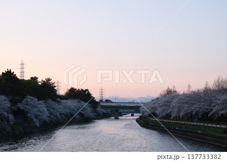 愛知県名古屋市_荒子川公園 (夕方)5_2025年4月 137733382