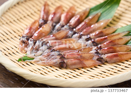 生のホタルイカ 春の旬食材 生のホタルイカ 春の旬食材 137733467