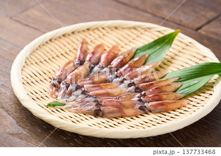 生のホタルイカ　春の旬食材 137733468