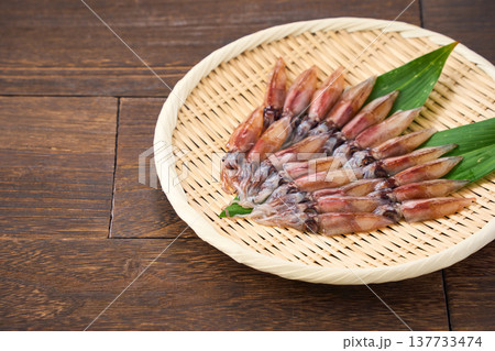 生のホタルイカ 春の旬食材 生のホタルイカ 春の旬食材 137733474