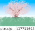 一本桜の樹の下で 137733692