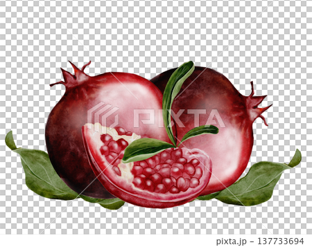 Pomegranate fruit watercolor. Realistic botanical illustration on a white background. Perfect for packaging design, organic cosmetics, invitations, and wellness branding. Handmade. 137733694