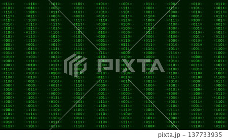 Structured Binary Matrix - Quad-Column Technical Data Distribution 137733935