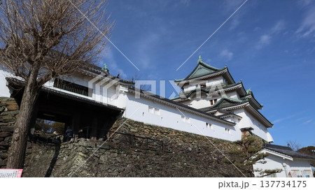 立派な和歌山城 137734175