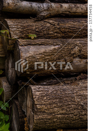 Logs from sawn trees lying by the road in the forest 137734458