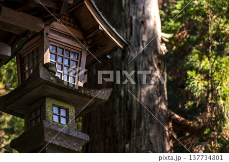 260314日枝神社g004 260314日枝神社g004 137734801