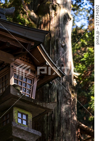 260314日枝神社g007 137734802