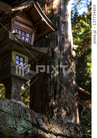 260314日枝神社g009 260314日枝神社g009 137734803